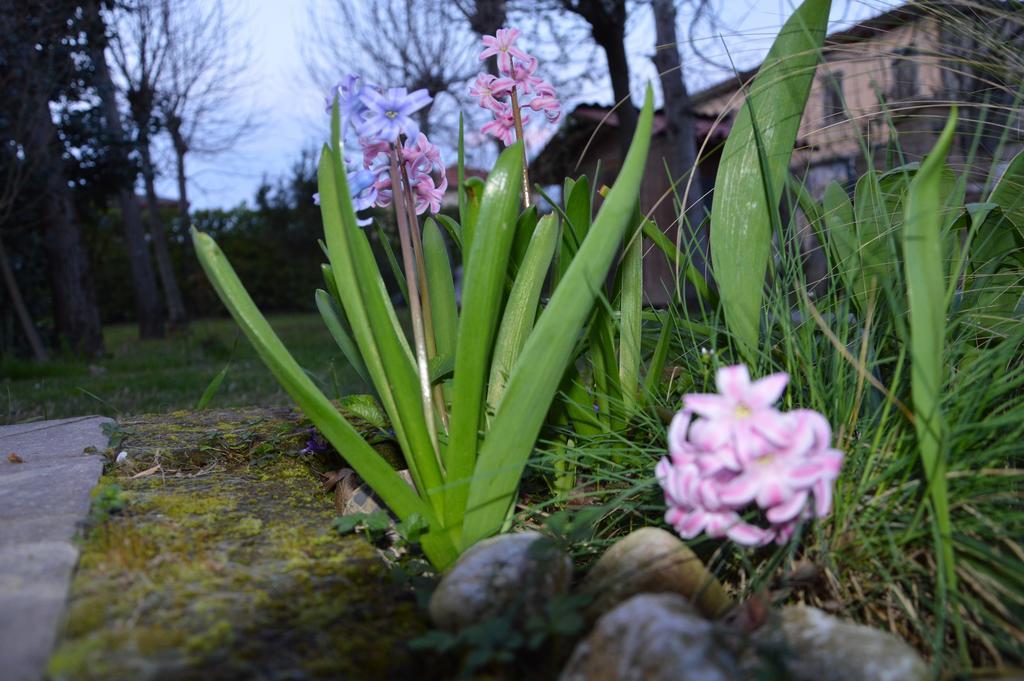 Appartamento Casa Della Nonna Noventa di Piave Dış mekan fotoğraf