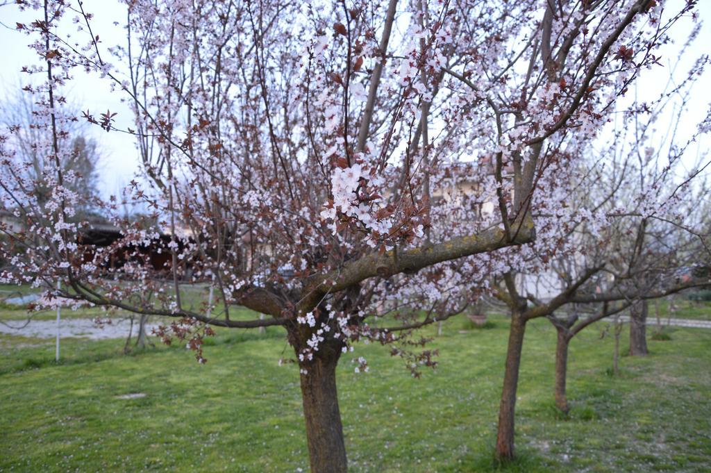 Appartamento Casa Della Nonna Noventa di Piave Dış mekan fotoğraf